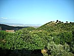 An den Hügedln und Kosta's Garten vorbei sieht man in die Thessalische Ebene